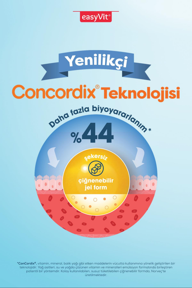 EasyFishoil Focus 30 Çiğneme Tableti