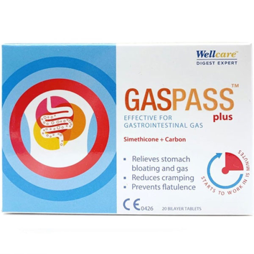 Wellcare Gaspass Plus 20 Tablet - Wellcare