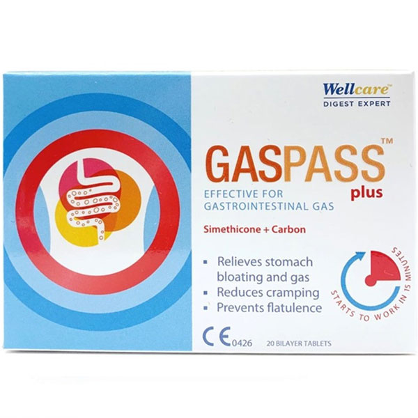Wellcare Gaspass Plus 20 Tablet - 1