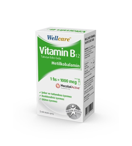 Wellcare Vitamin B12 1000 mcg Sprey 5 ml - 1